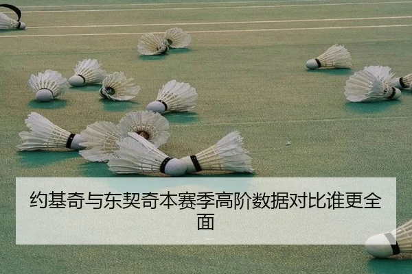 约基奇与东契奇本赛季高阶数据对比谁更全面